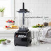 Máy xay sinh tố Omniblend V TM 800A