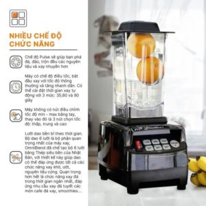 Máy xay sinh tố Omniblend V TM 800A